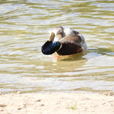 Casa de Férias Letni