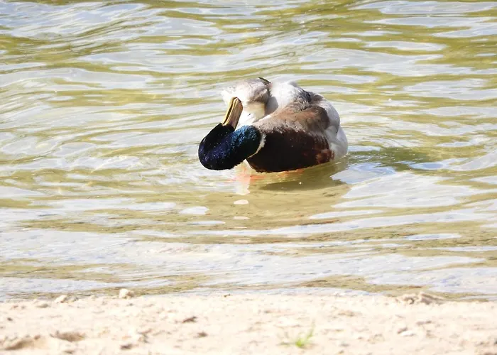 Prázdninový dům Letni